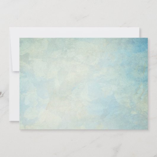 アップアップおよび遠くにヴィンテージ飛行機誕生日招待状 招待状 (裏面)