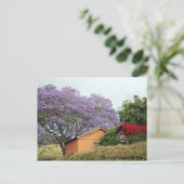 アップカントリーマウイの色 ポストカード (スタンド正面)