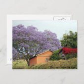 アップカントリーマウイの色 ポストカード (正面/裏面)