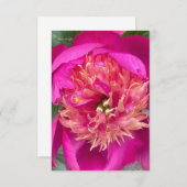 アップクローズ熱ピンク牡丹 ノートカード (正面/裏面)