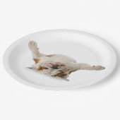 アップサイドダウンブルドッグ紙プレート ペーパープレート (アングル)