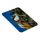 アップザヒルビニール磁石 マグネット (右側)