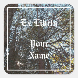 アップザブランチ蔵書票 スクエアシール