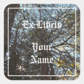 アップザブランチ蔵書票 スクエアシール (正面)