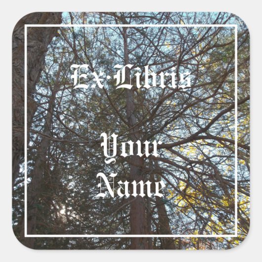 アップザブランチ蔵書票 スクエアシール (正面)