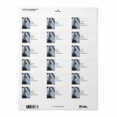 アップホワイトフィッシュポイント住所 シール (フルシート)