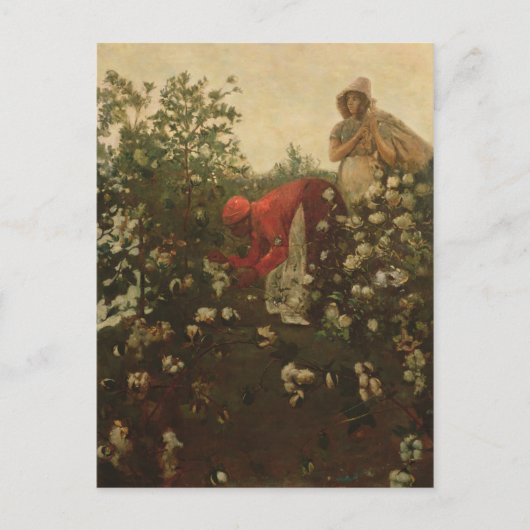 アップランド綿 ポストカード (正面)