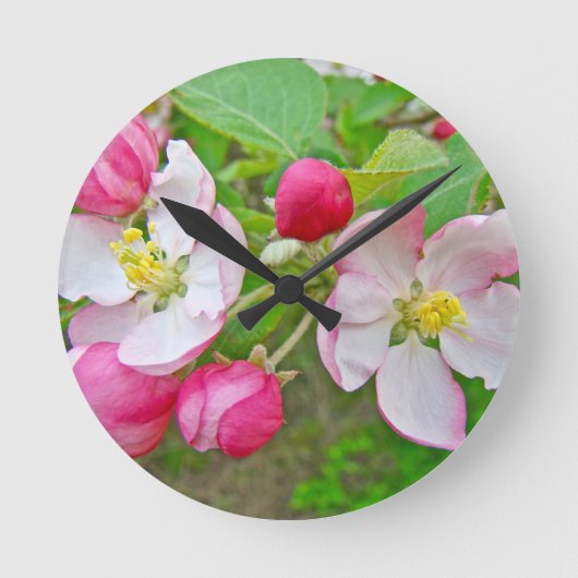 アップルの花開き時間 ラウンド壁時計 (正面)