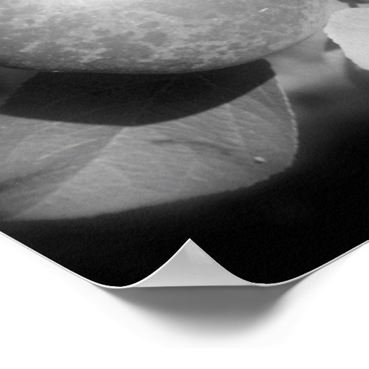 アップルオンツリーブラックアンドホワイト鏡抽象芸術 ポスター (角)