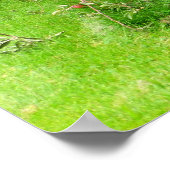 アップルオーチャード ポスター (角)