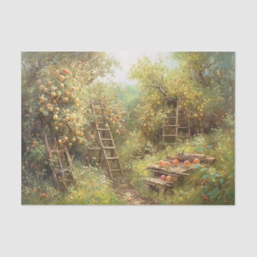 アップルオーチャード 薄葉紙 (正面)