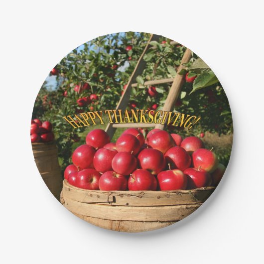 アップルカラフル・ハーベスト・ハッピー・感謝祭 ペーパープレート (正面)