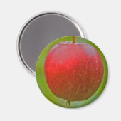 アップルサマーレッド マグネット (正面/裏面)