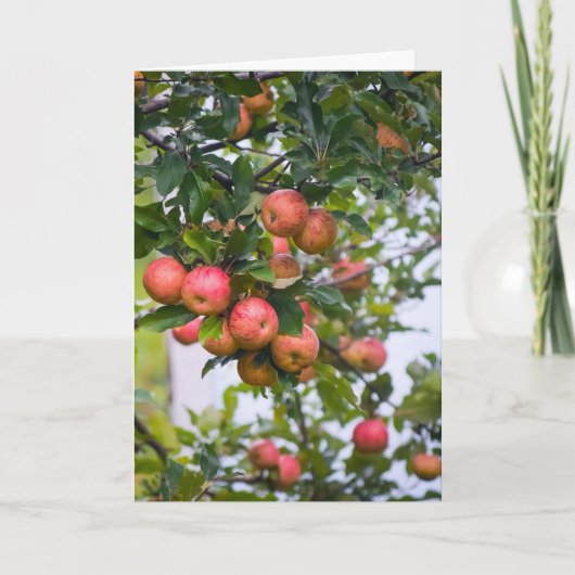 アップルソースレシピ シーズンカード (正面)