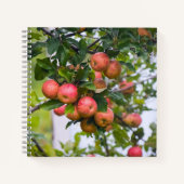 アップルソースレシピ ノートブック (正面)