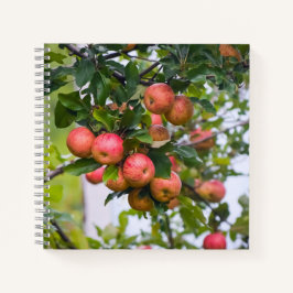 アップルソースレシピ ノートブック