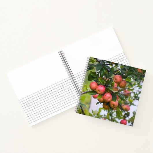 アップルソースレシピ ノートブック (内部)