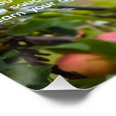 アップルソースレシピ ポスター (コーナー)