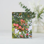 アップルソースレシピ ポストカード (スタンド正面)