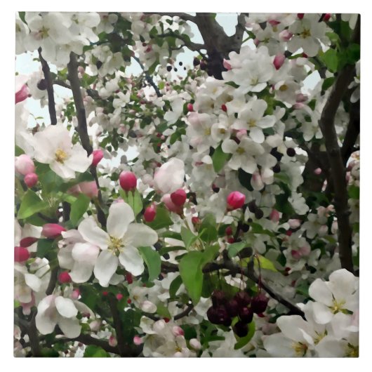 アップルツリーイン開花 タイル (正面)
