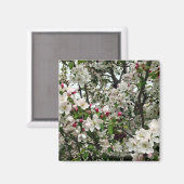 アップルツリーイン開花 マグネット (正面/裏面)