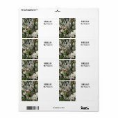 アップルツリーイン開花 ラベル (フルシート)