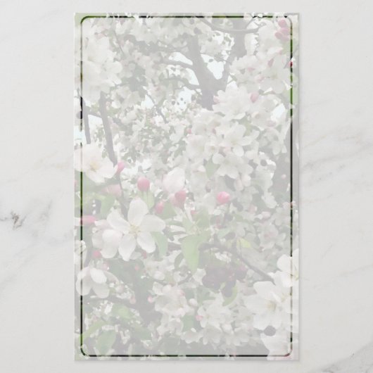 アップルツリーイン開花 便箋 (正面)
