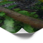 アップルバナナツリーズビッグアイランドハワイ ポスター (コーナー)