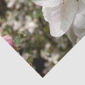 アップルブロッサムティッシュペーパー 薄葉紙 (詳細)