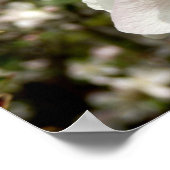 アップルブロッサムポスター ポスター (角)