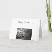 アップルブロッサム勇気付けられる カード (裏面)