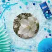 アップルブロッサム紙プレート ペーパープレート (パーティー)