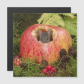 アップルマウス (正面/裏面)