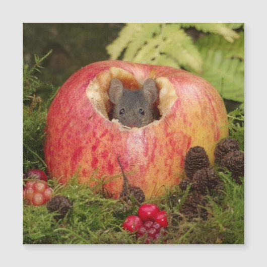 アップルマウス (正面)