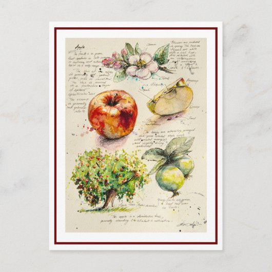 アップル絵を描のEVEイラストレーション ポストカード (正面)