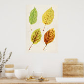 アップル葉製品(Malus Domestica) (1912) by James Mar ポスター (キッチン)