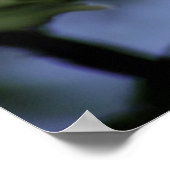 アップル開花 ポスター (角)