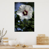 アップル開花 ポスター (キッチン)