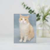 アップ与え ポストカード (スタンド正面)