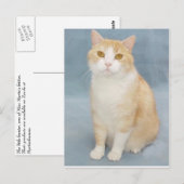 アップ与え ポストカード (正面/裏面)