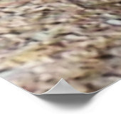 アップ閉じてダーティ!!フィドラーカニ ポスター (角)