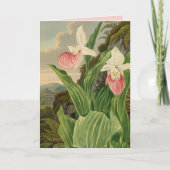 アツモリソウのビンテージ植物画 オーキッド カード (正面)