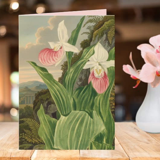 アツモリソウのビンテージ植物画 オーキッド カード
