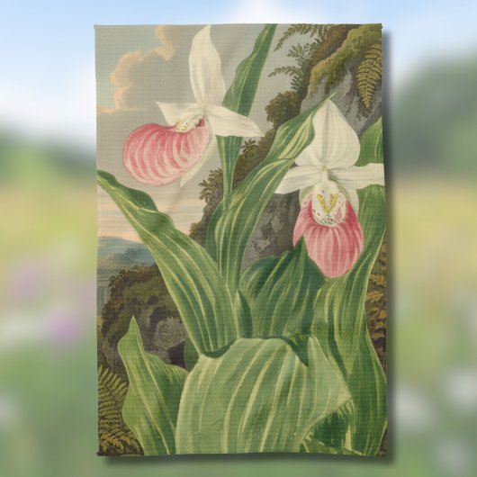 アツモリソウのビンテージ植物画 オーキッド キッチンタオル