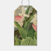 アツモリソウのビンテージ フラワー オーキッド 植物画 ギフトタグ (正面)