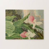アツモリソウのビンテージ フラワー オーキッド 植物画 ジグソーパズル (横)