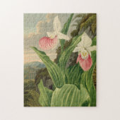 アツモリソウのビンテージ フラワー オーキッド 植物画 ジグソーパズル (縦)