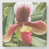 アツモリソウの花 ストーンコースター (正面)