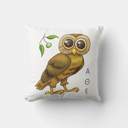 アテナの痛み クッション (正面)