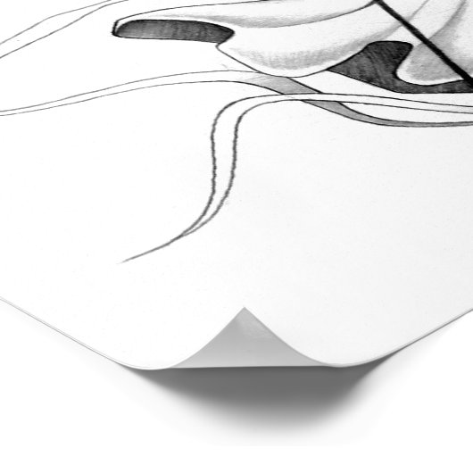 アテナ ポスター (角)